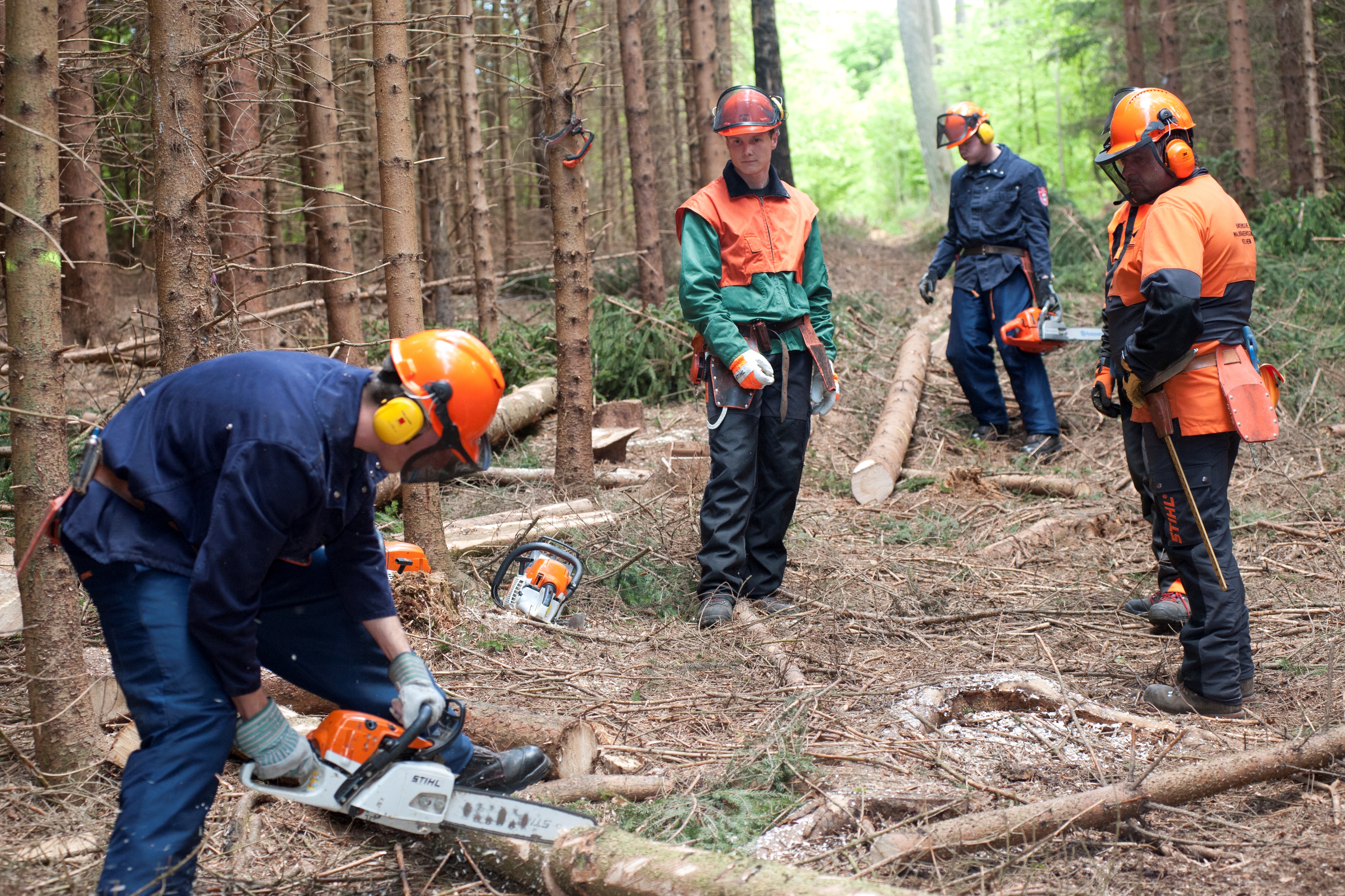 Bayerische Waldbauernschule Kelheim: Im Schulwald können die Kursteilnehmer praktische Erfahrungen bei der Holzernte sammeln.